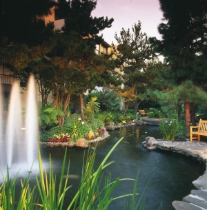 Sheraton Palo Alto
